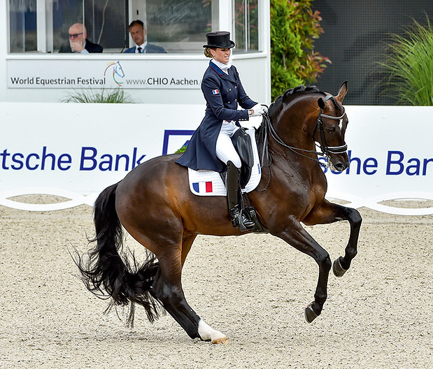 Sir_Donnerhall_II_OLD_Morgan_Barbancon_Aachen_19_TBE_8402_BECKER.jpg