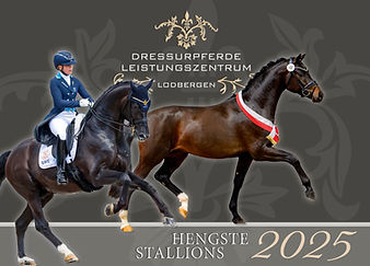Hengstkatalog_2025.jpg