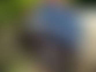 How to Sell a Car That Has Been In An Accident – Tips and Advice