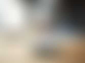 What Is the Best Vehicle History Report