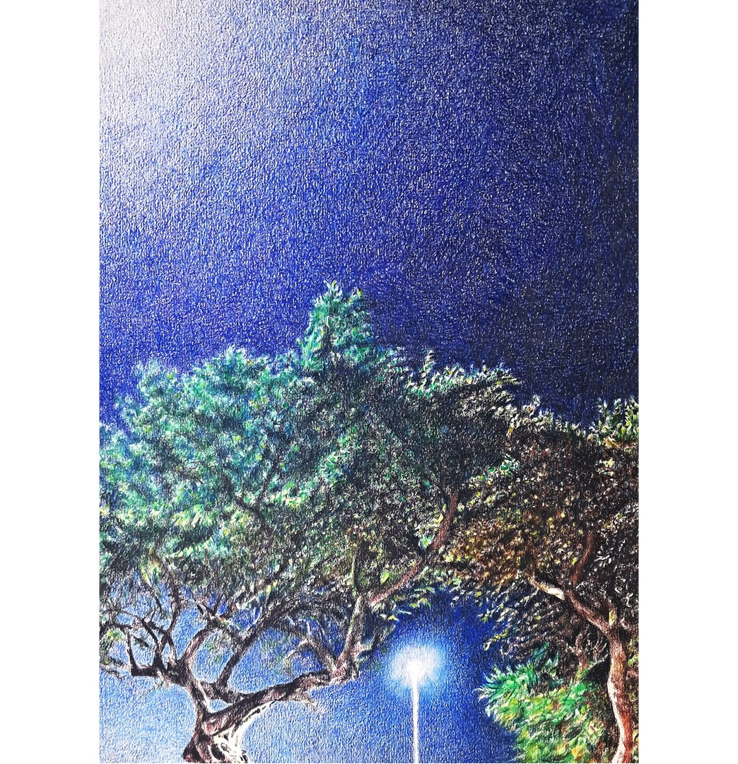 18:45, 2024 - Franey