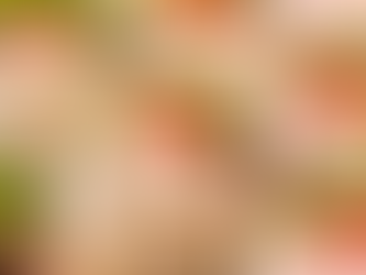 Homemade Costco-Style Turkey Cranberry Pinwheels