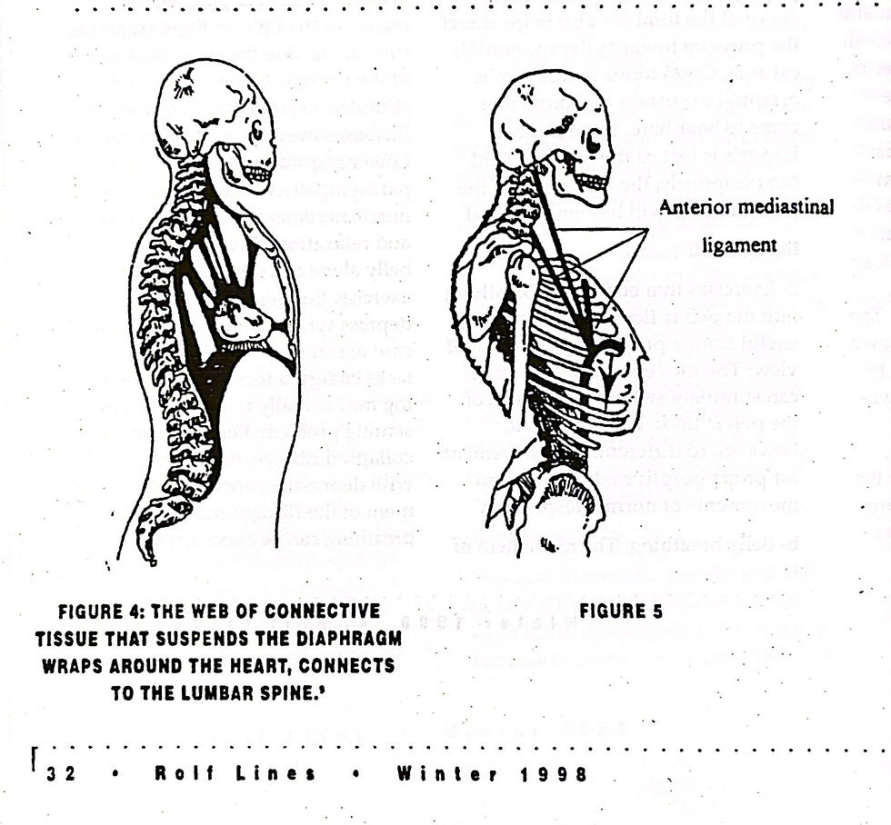 Diagram of proper posture and forward head posture