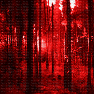 2059248_802e9.gif