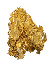 GOLD_40015-removebg-preview.png