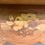 Thumbnail: Fireplace Handmade Mahogany Fireplace Surround No.1 Roses
