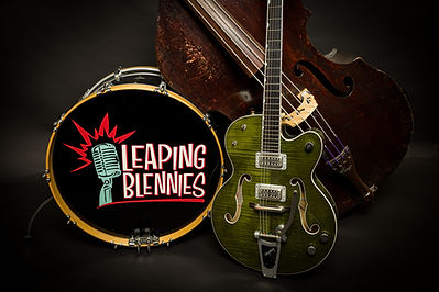 A picture of the bands gear. An upright bass, guitar, and bass drum