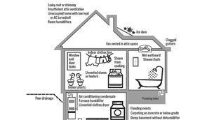 Mold in your home and how to prevent it