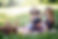 shutterstock_510769900.jpg