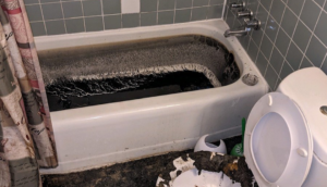 Sewage Cleanup - What you Need to Know