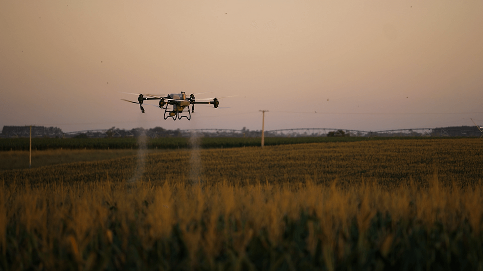Drone flying over field, sunset in background, agricultural technology concept.