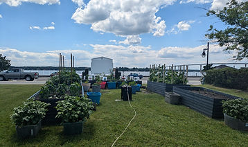 PXL_20240610_181009971 (1).jpg