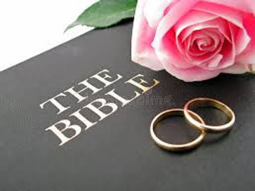 bible rings and rose.jpg
