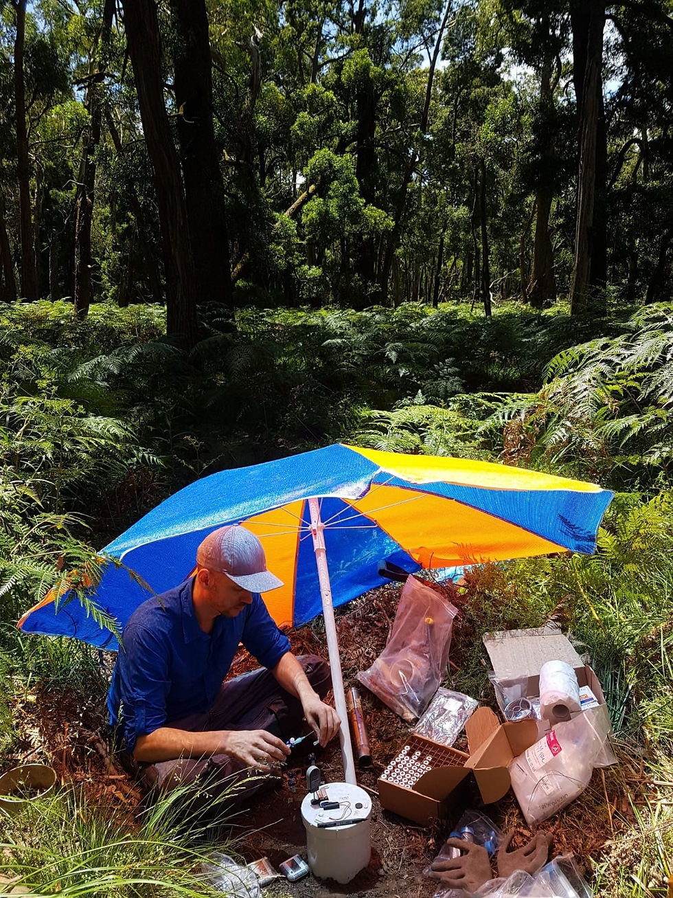 Wombat sampling.jpeg