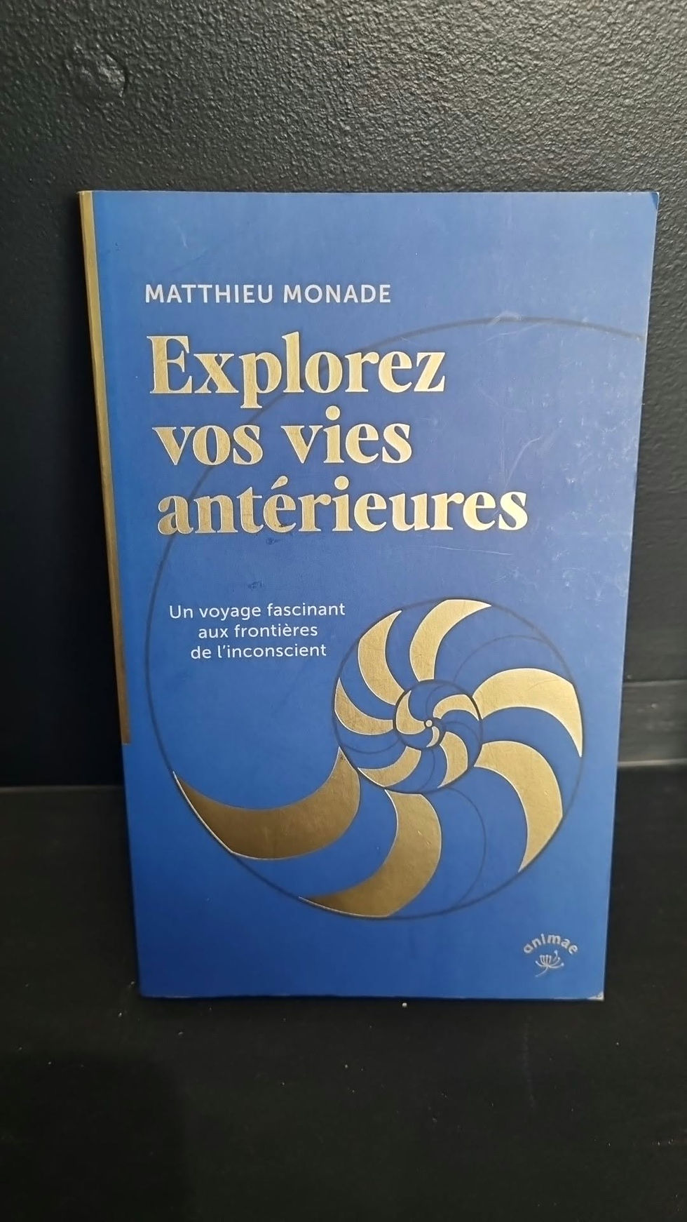 Miniature : Explorez vos vies antérieures
