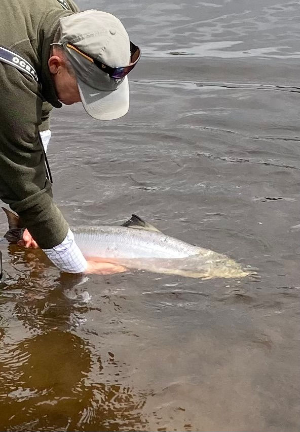 Ballisodare Fishing Club Report Featured on Angling Ireland