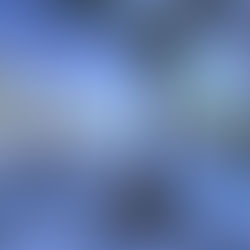 Installing a pool in a pandemic