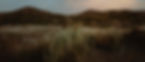 benjamin-suter-VE-09zZs2zU-unsplash.jpg