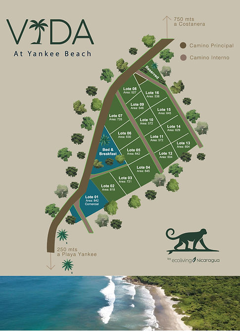 MASTER PLAN final_edited.jpg