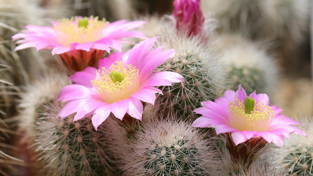 RELATIONSHIPS | United States | Alexandra Jensen