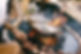 AdobeStock_361044332.jpeg