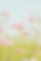 jei-lee-0lL6Sox7n1Y-unsplash.png