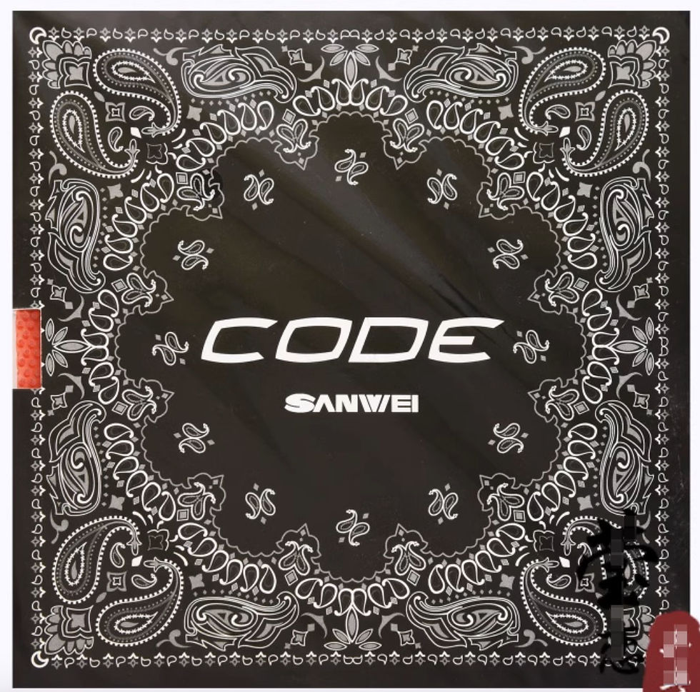 Sanwei Code OX Long pimples Table Tennis Rubber
