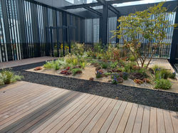 임시-사진촬영예정11