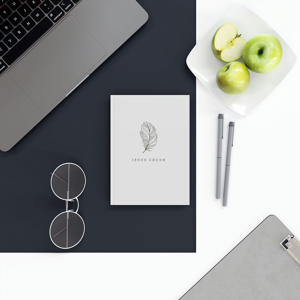 Thumbnail: Feather Hard Back Small Journal