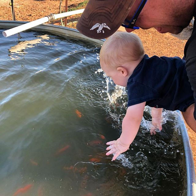 Catching fish in a barrel