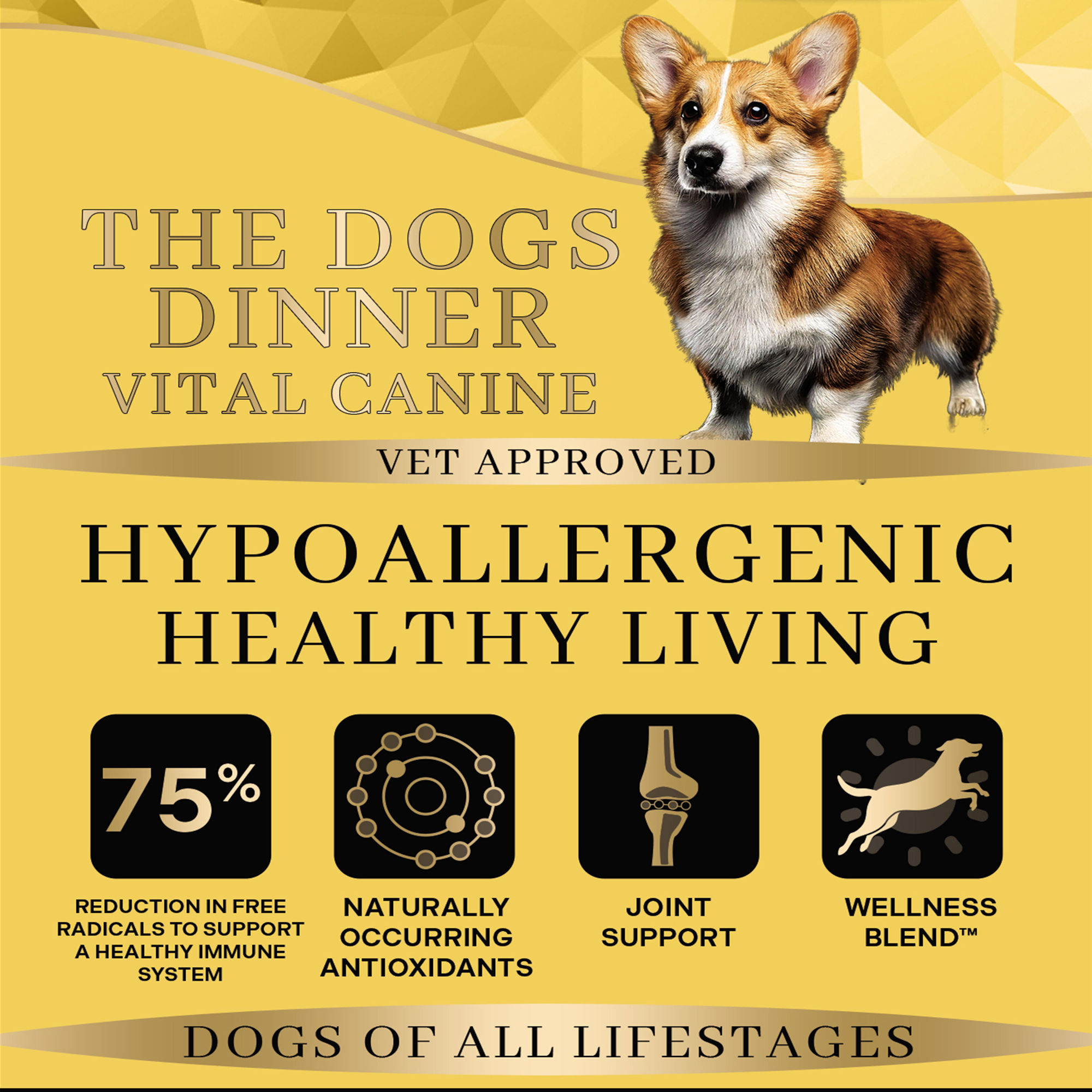 Vital Canine Hypoallergenic Complete Hydrolysed Dog Food