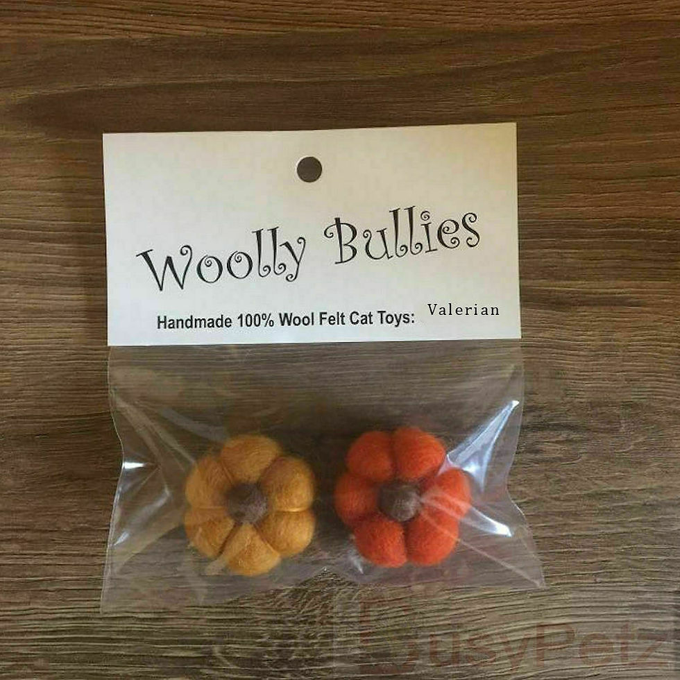 Woolly Bullies Pumpkin Wool Catnip Toys
