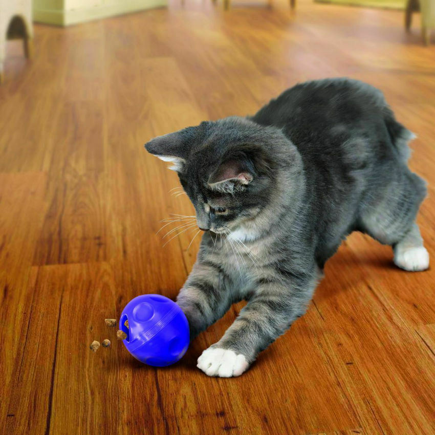 KONG Cat or Kitten Treat Ball
