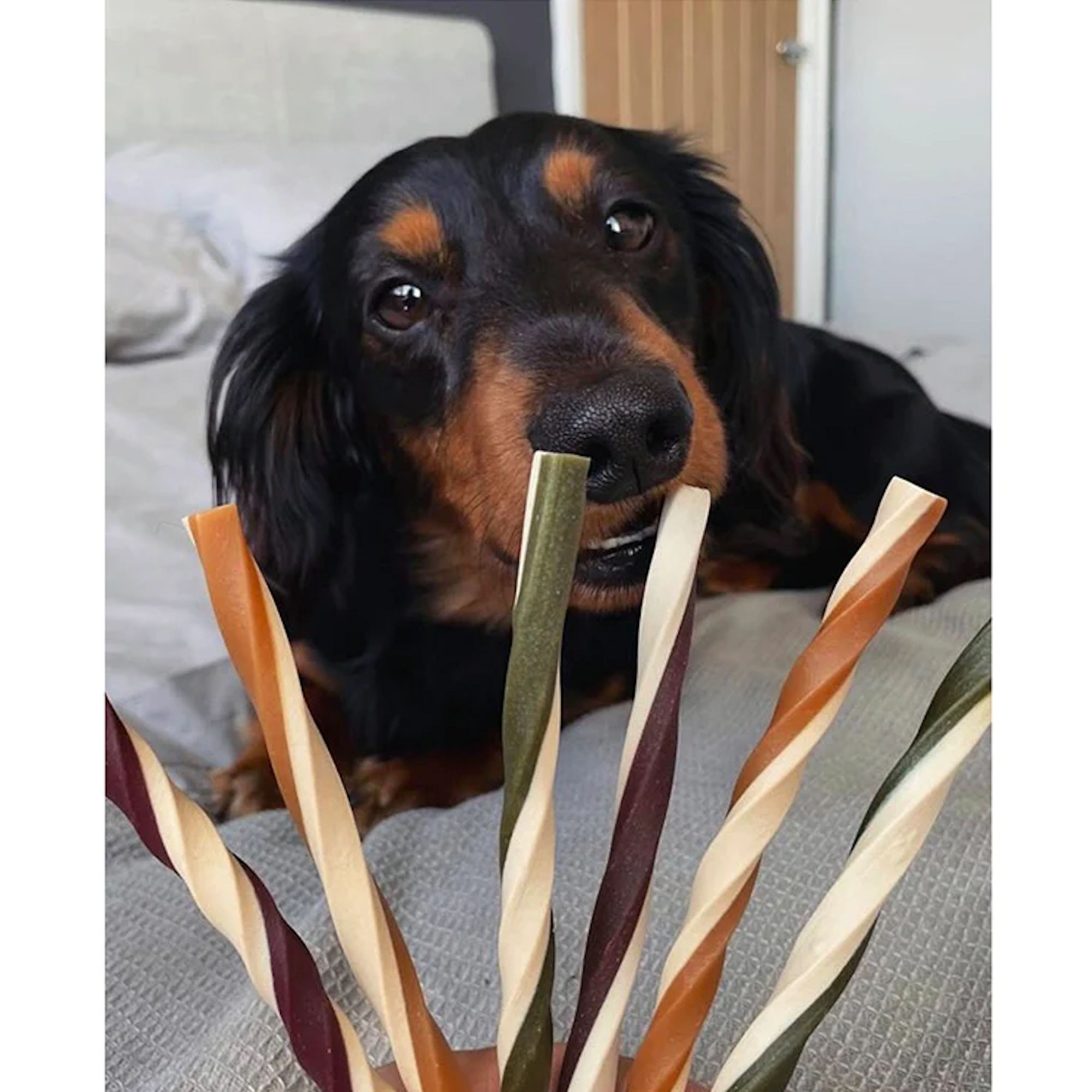 Maks Patch Fruit & Vegetable Straws Dog Treat