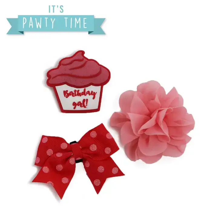 Thumbnail: Party Dog Collar Accessory set