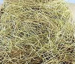 Busypetz Pack of Hay