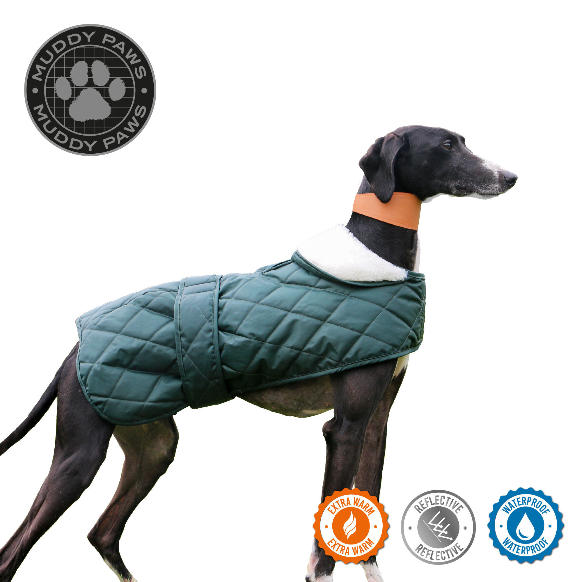 Dog Coat Hound Coat