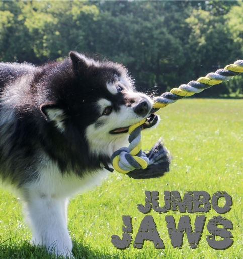 Thumbnail: Dog Toy Jumbo Ropes