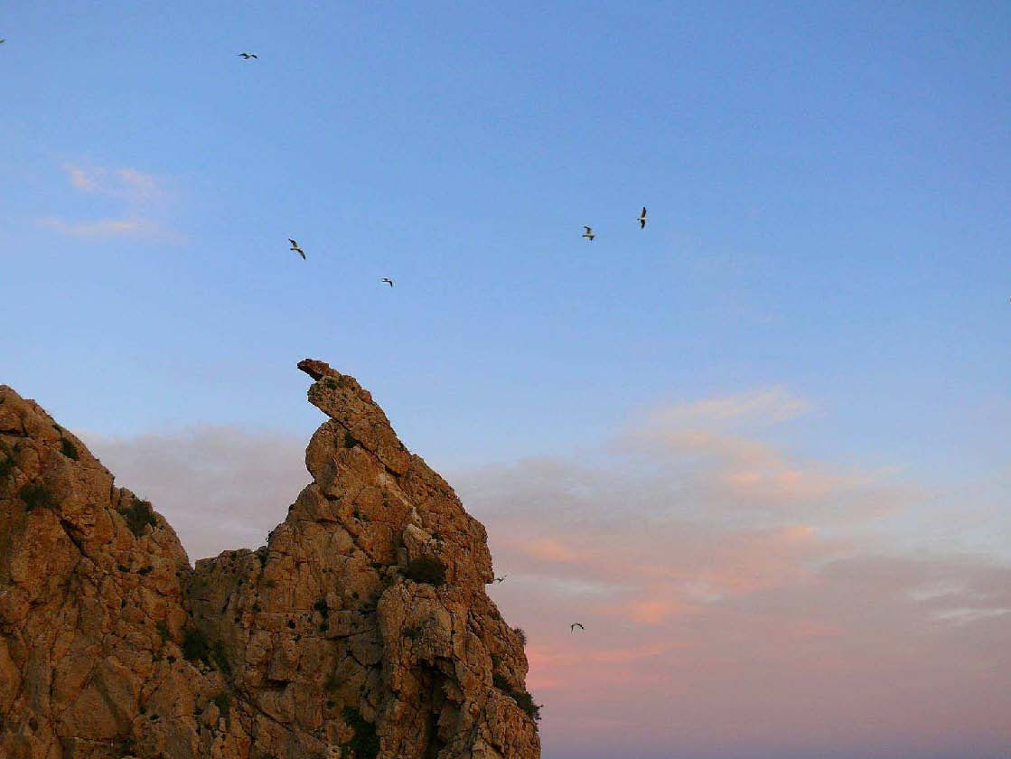 aguilas_Página_18_Imagen_0001.jpg