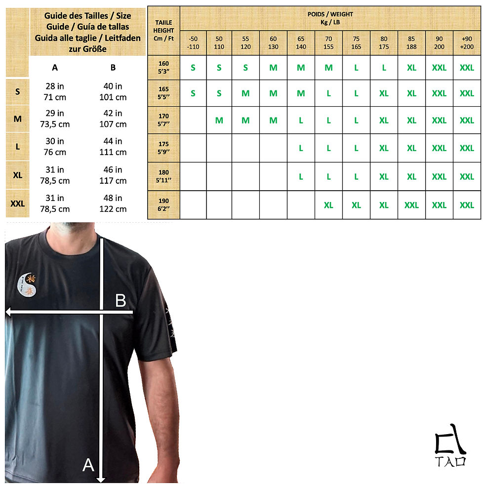 Thumbnail: Wing Chun Dry Fit T-Shirt