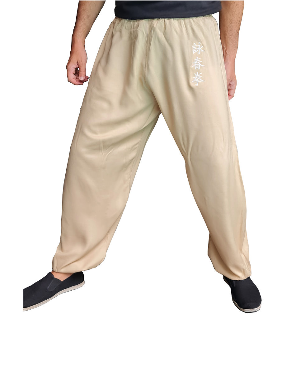 Miniature : Pantalon Tao V1 Viscose