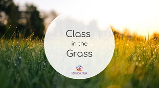 class in the grass (2).png