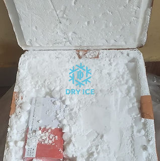 WhatsApp Image 2026-02-27 at 16.55.28 (1).jpeg