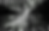 bg-fv.png