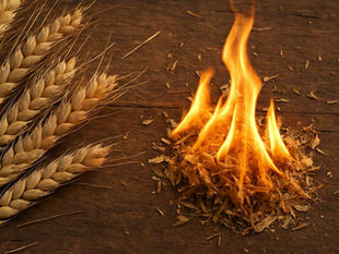 Tov Devo/Clean Laundry