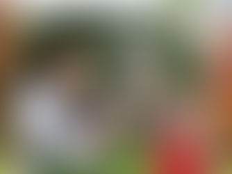 Hall-O-Gram 2025 Fall/Autumne