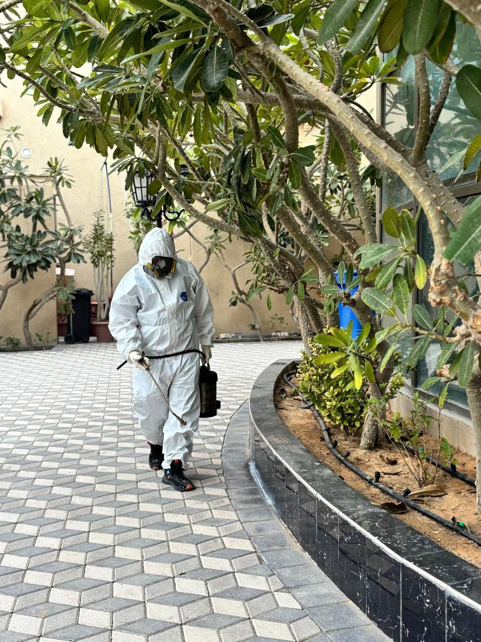 Pest Control