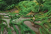 DJI_20240305080944_0031_D_edited.jpg