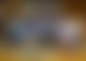 Finalización torneos 2013