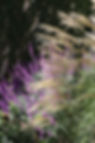 Picture 1.jpg